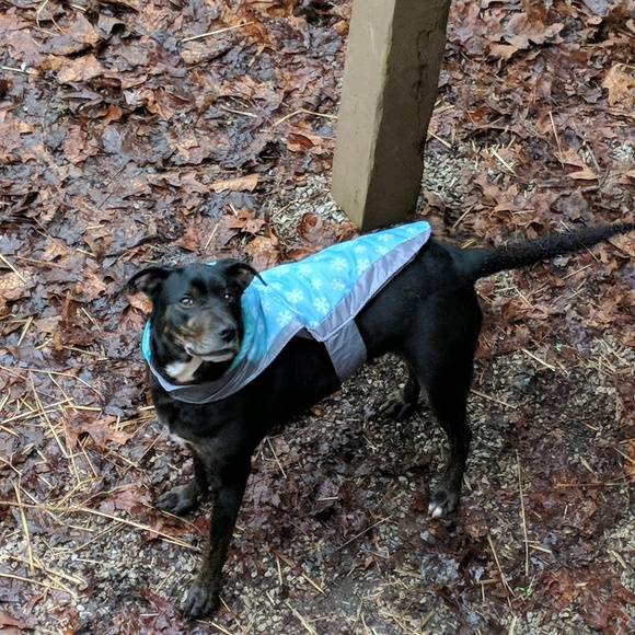 Meet your Posher, Casey - Picture 1 of 1